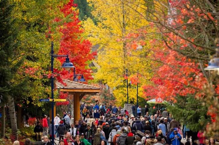 Fall for Arts Whistler